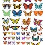 3D Butterfly Sticker in UV DTF Stickers