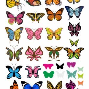 Butterfly UV DTF Stickers In Glossy