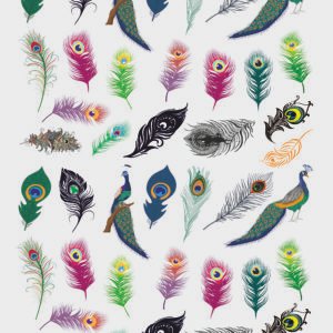 Colorful Feather Stickers | UV DTF Decals