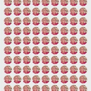 Shukrana Guru Jii | Nirmal Singh Maharaj UV DTF Stickers Pack-4 🌸✨
