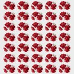 🌹✨Rose Flower Beauty UV DTF Stickers 2 Perfect For Branding, Packaging, & Gifts Hampering